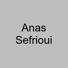 Anas Sefrioui