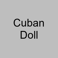 Cuban Doll