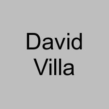 David Villa