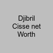 Djibril Cisse net Worth