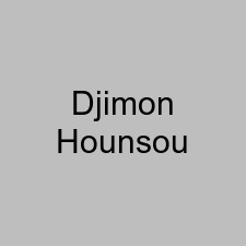 Djimon Hounsou