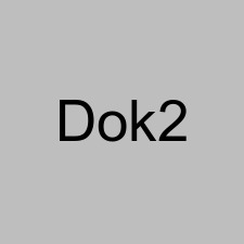Dok2