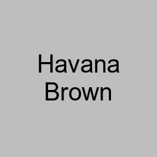 Havana Brown