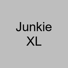 Junkie XL