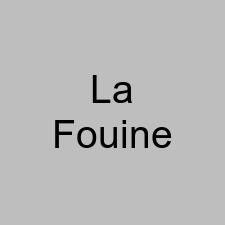 La Fouine