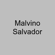 Malvino Salvador