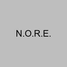 N.O.R.E.
