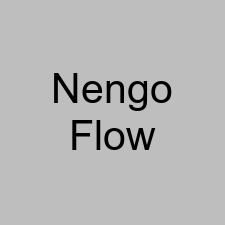 Nengo Flow