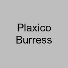 Plaxico Burress