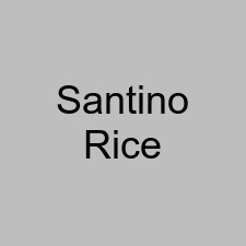 Santino Rice