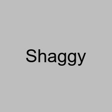 Shaggy