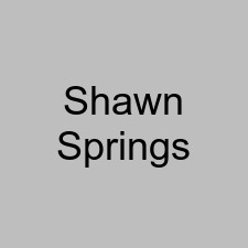 Shawn Springs