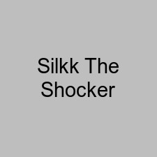 Silkk The Shocker