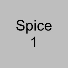 Spice 1