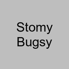 Stomy Bugsy