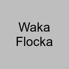 Waka Flocka