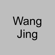 Wang Jing