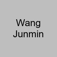 Wang Junmin