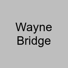 Wayne Bridge