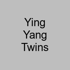 Ying Yang Twins